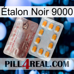 Étalon Noir 9000 new13